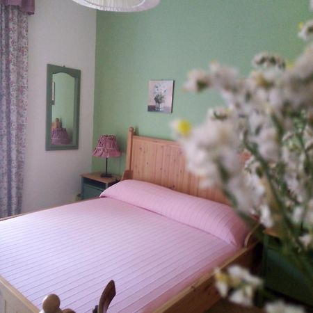 B&B Il Country E Il Mare Martinsicuro Exteriör bild